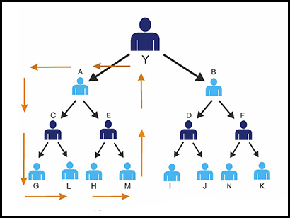 Board MLM Plan Software by Aayush Infotech - Streamline Board Management and Boost Growth