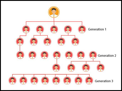 Generation MLM Plan Software by Aayush Infotech - Streamline Board Management and Boost Growth