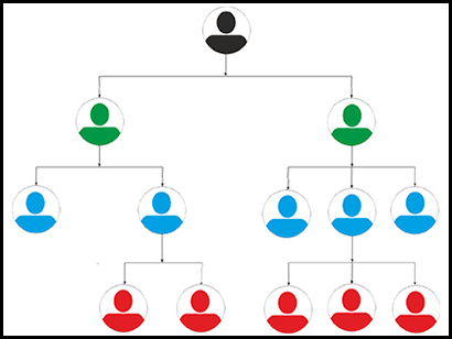 Hybrid MLM Plan Software by Aayush Infotech - Streamline Board Management and Boost Growth